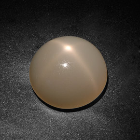 19.71 ct Cream Star Moonstone Stone, Natural Star Moonstone in Round Cabochon Shape for Sale