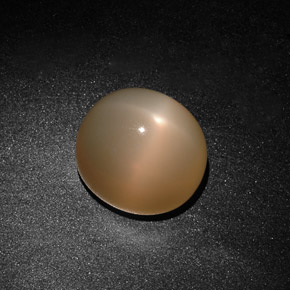 15.59 ct Cream Star Moonstone Gemstone, Star Moonstone Gem in Oval Cabochon Shape for Sale.