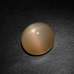 15.59 ct Cream Star Moonstone Stone, Natural Star Moonstone in Oval Cabochon Shape for Sale