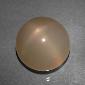 22.25 ct Orange Star Moonstone Stone, Natural Star Moonstone in Round Cabochon Shape for Sale