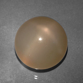 Star Moonstone Gemstone in 15.9 mm Size for Sale, Star Moonstone Stone in Cream Peach Color