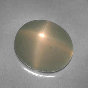 Star Moonstone Gemstone in 12 x 10 mm (calibrated) Size for Sale, Star Moonstone Stone in Cream Color