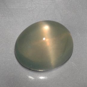 Star Moonstone Gemstone in 11 x 9 mm (calibrated) Size for Sale, Star Moonstone Stone in Cream Color