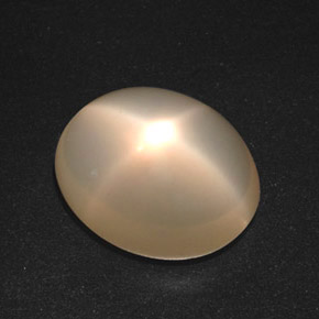 16.26 ct Cream Star Moonstone Stone, Natural Star Moonstone in Oval Cabochon Shape for Sale