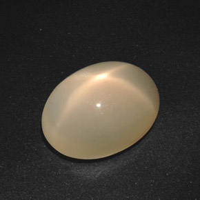 16.79 ct Cream Star Moonstone Stone, Natural Star Moonstone in Oval Cabochon Shape for Sale
