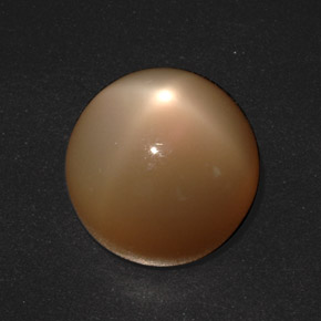 20.73 ct Cream Star Moonstone Gemstone, Star Moonstone Gem in Round Cabochon Shape for Sale.