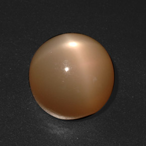 20.73 ct Cream Star Moonstone Stone, Natural Star Moonstone in Round Cabochon Shape for Sale
