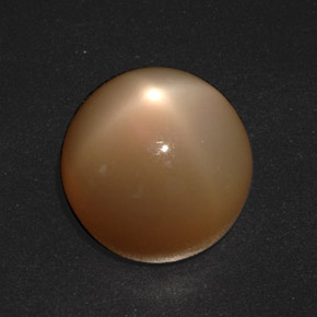 Star Moonstone Gemstone in 15.3 mm Size for Sale, Star Moonstone Stone in Orange Cream Color