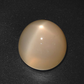 21.40 ct Cream Star Moonstone Gemstone, Star Moonstone Gem in Round Cabochon Shape for Sale.
