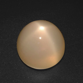 21.40 ct Cream Star Moonstone Stone, Natural Star Moonstone in Round Cabochon Shape for Sale