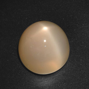 Star Moonstone Gemstone in 15.1 mm Size for Sale, Star Moonstone Stone in Orange Cream Color