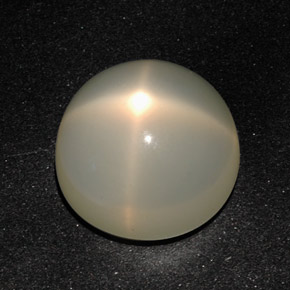 12.96 ct Cream Star Moonstone Stone, Natural Star Moonstone in Round Cabochon Shape for Sale