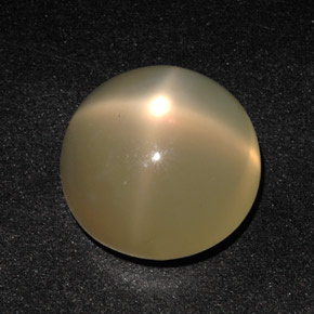 Star Moonstone Gemstone in 14 mm (calibrated) Size for Sale, Star Moonstone Stone in Orange Cream Color