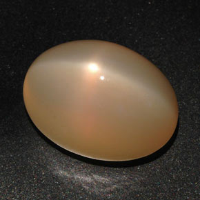 22.59 ct Orange Star Moonstone Gemstone, Star Moonstone Gem in Oval Cabochon Shape for Sale.