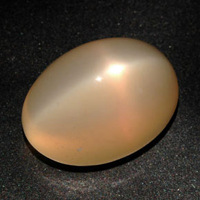 22.59 ct Orange Star Moonstone Stone, Natural Star Moonstone in Oval Cabochon Shape for Sale