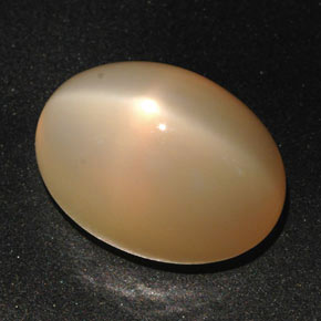 Star Moonstone Gemstone in 18.8 x 13.6 mm Size for Sale, Star Moonstone Stone in Peach Orange Color