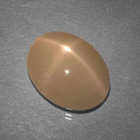 7.86 ct Orange Star Moonstone Gemstone, Star Moonstone Gem in Oval Cabochon Shape for Sale.