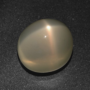 Star Moonstone Gemstone in 14.3 x 13 mm Size for Sale, Star Moonstone Stone in Orange Cream Color