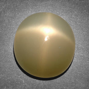 14.65 ct Cream Star Moonstone Stone, Natural Star Moonstone in Oval Cabochon Shape for Sale