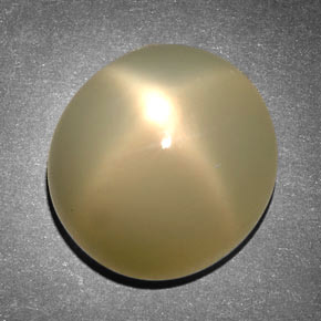 Star Moonstone Gemstone in 14.7 x 13.7 mm Size for Sale, Star Moonstone Stone in Cream Color