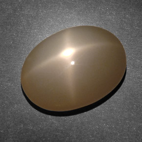 Star Moonstone Gemstone in 16 x 12 mm (calibrated) Size for Sale, Star Moonstone Stone in Orange Cream Color