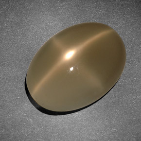 Star Moonstone Gemstone in 16.1 x 11.4 mm Size for Sale, Star Moonstone Stone in Cream Color