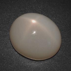 20.07 ct Cream Star Moonstone Stone, Natural Star Moonstone in Oval Cabochon Shape for Sale