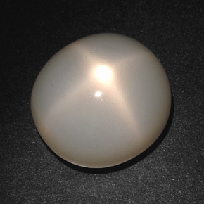 19.72 ct Cream Star Moonstone Stone, Natural Star Moonstone in Oval Cabochon Shape for Sale