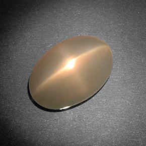 8.29 ct Cream Star Moonstone Gemstone, Star Moonstone Gem in Oval Cabochon Shape for Sale.