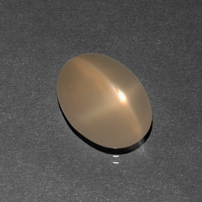 7.09 ct Cream Star Moonstone Stone, Natural Star Moonstone in Oval Cabochon Shape for Sale