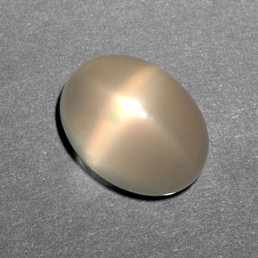 10.79 ct Cream Star Moonstone Stone, Natural Star Moonstone in Oval Cabochon Shape for Sale
