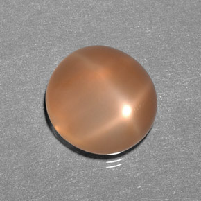 Star Moonstone Gemstone in 13.5 x 12.8 mm Size for Sale, Star Moonstone Stone in Peach Orange Color