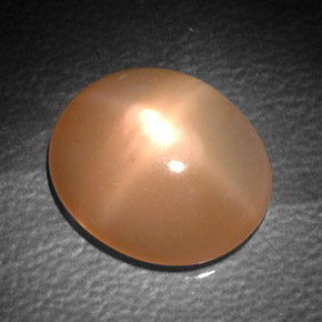 Star Moonstone Gemstone in 14 x 12 mm (calibrated) Size for Sale, Star Moonstone Stone in Orange Cream Color