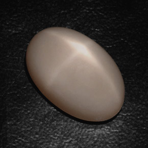 Star Moonstone Gemstone in 19.7 x 12.2 mm Size for Sale, Star Moonstone Stone in Smoke Color