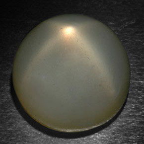 24.37 ct Gray Star Moonstone Stone, Natural Star Moonstone in Round Cabochon Shape for Sale