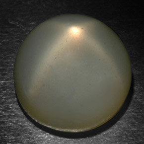 Star Moonstone Gemstone in 16.5 mm Size for Sale, Star Moonstone Stone in Smoke Color