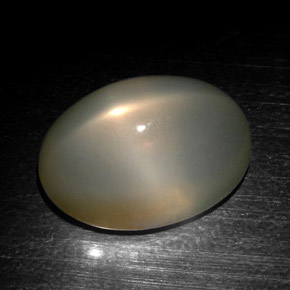 18.57 ct Gray Star Moonstone Gemstone, Star Moonstone Gem in Oval Cabochon Shape for Sale.