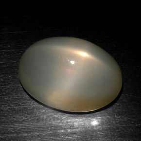 18.57 ct Gray Star Moonstone Stone, Natural Star Moonstone in Oval Cabochon Shape for Sale