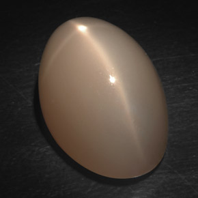 20.45 ct Cream Star Moonstone Stone, Natural Star Moonstone in Oval Cabochon Shape for Sale