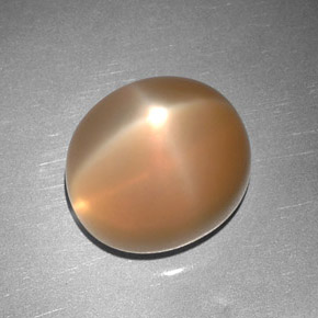 Star Moonstone Gemstone in 12.2 x 10.7 mm Size for Sale, Star Moonstone Stone in Peach Orange Color