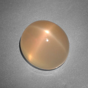7.48 ct Orange Star Moonstone Stone, Natural Star Moonstone in Oval Cabochon Shape for Sale