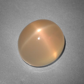 Star Moonstone Gemstone in 11.8 x 10.7 mm Size for Sale, Star Moonstone Stone in Peach Orange Color