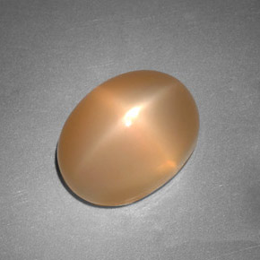 6.88 ct Orange Star Moonstone Gemstone, Star Moonstone Gem in Oval Cabochon Shape for Sale.
