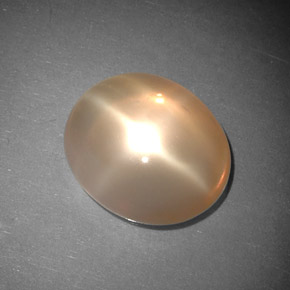 5.31 ct Orange Star Moonstone Stone, Natural Star Moonstone in Oval Cabochon Shape for Sale