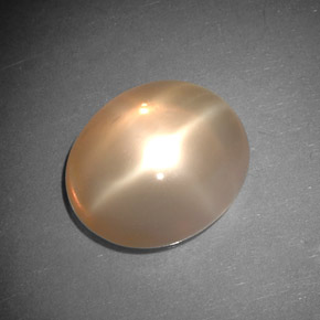 Star Moonstone Gemstone in 13.2 x 11.4 mm Size for Sale, Star Moonstone Stone in Peach Orange Color