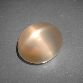 Star Moonstone Gemstone in 12 x 10 mm (calibrated) Size for Sale, Star Moonstone Stone in Peach Orange Color