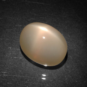 9.06 ct Orange Star Moonstone Stone, Natural Star Moonstone in Oval Cabochon Shape for Sale