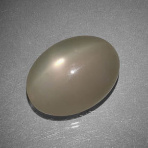 Star Moonstone Gemstone in 20 x 15 mm (calibrated) Size for Sale, Star Moonstone Stone in Smoke Color