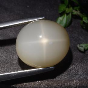 Star Moonstone Gemstone in 13.9 x 12.5 mm Size for Sale, Star Moonstone Stone in Cream Color