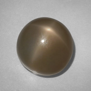 14.61 ct Smoky Star Moonstone Stone, Natural Star Moonstone in Round Cabochon Shape for Sale